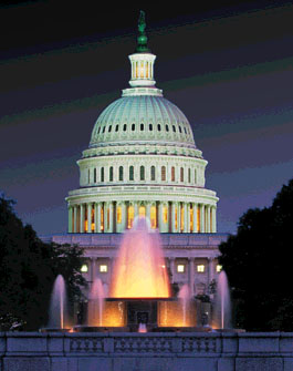 The Capital at night (25784 bytes)